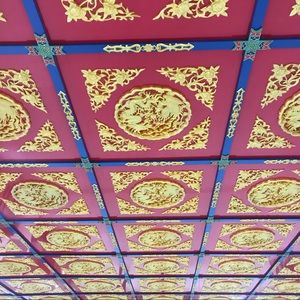 Meet your Posher, Jake